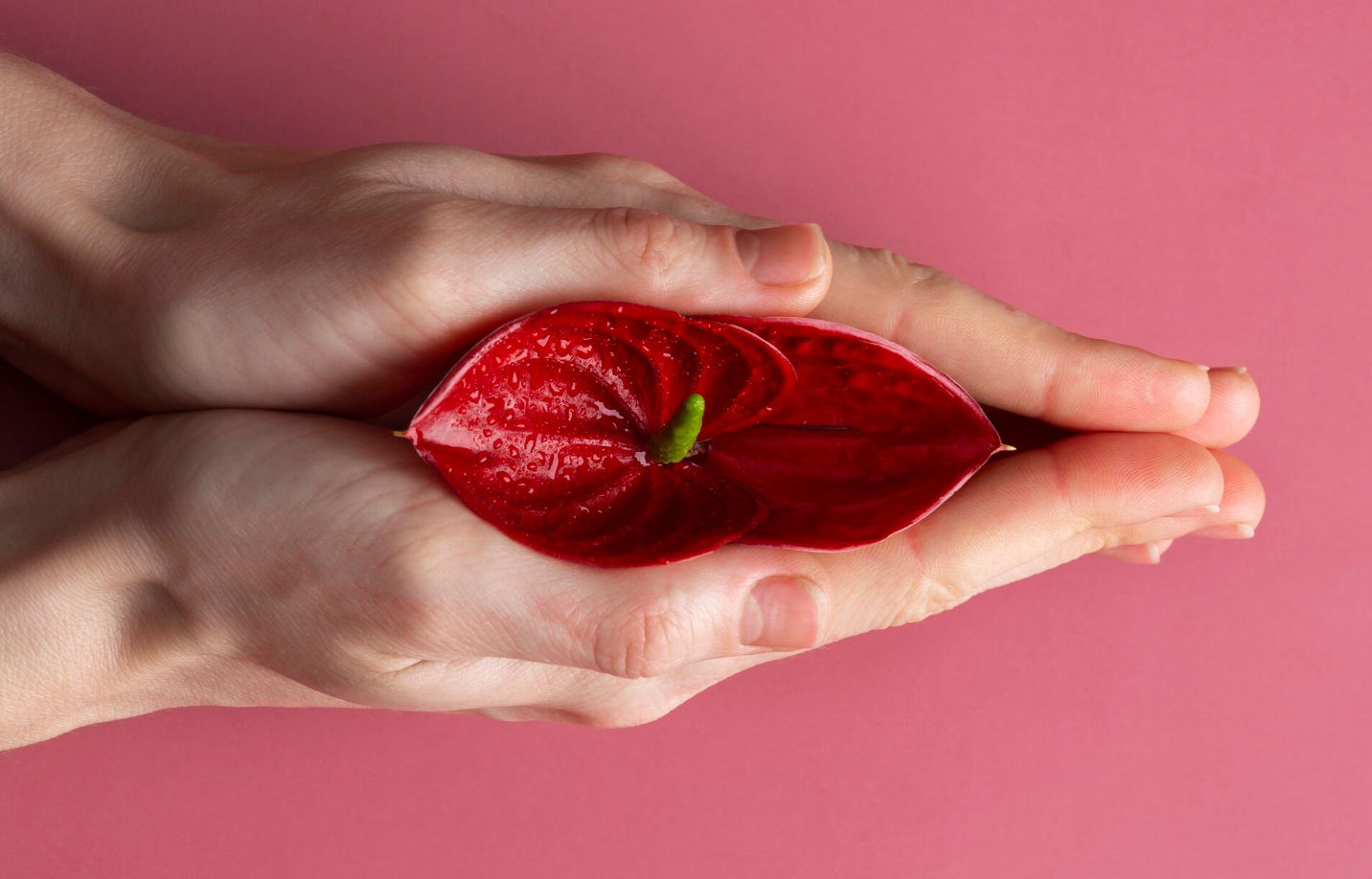 Ikuti Saran Ahli Ini Kalau Kamu Tak Pede Bentuk Miss V Berubah!